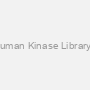 Human Kinase Library I